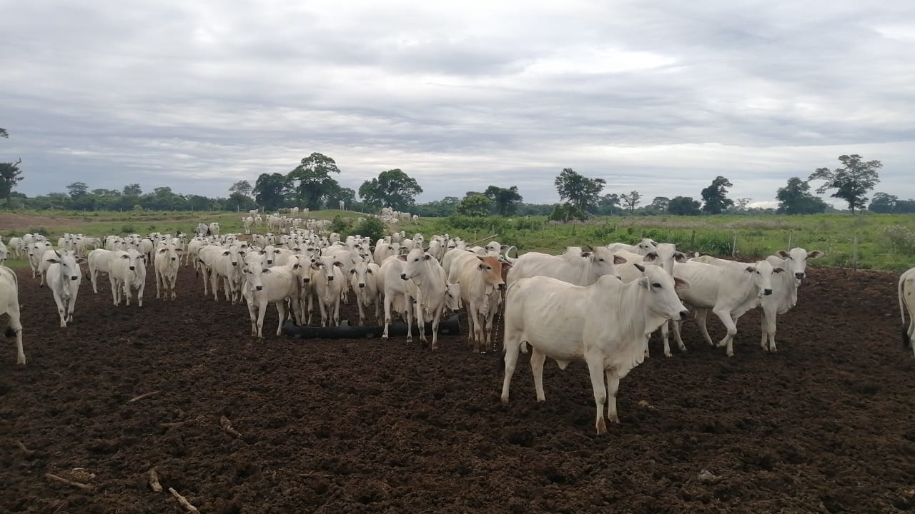 El BDP inyecta Bs 3.192,5 millones para el desarrollo productivo de Santa Cruz