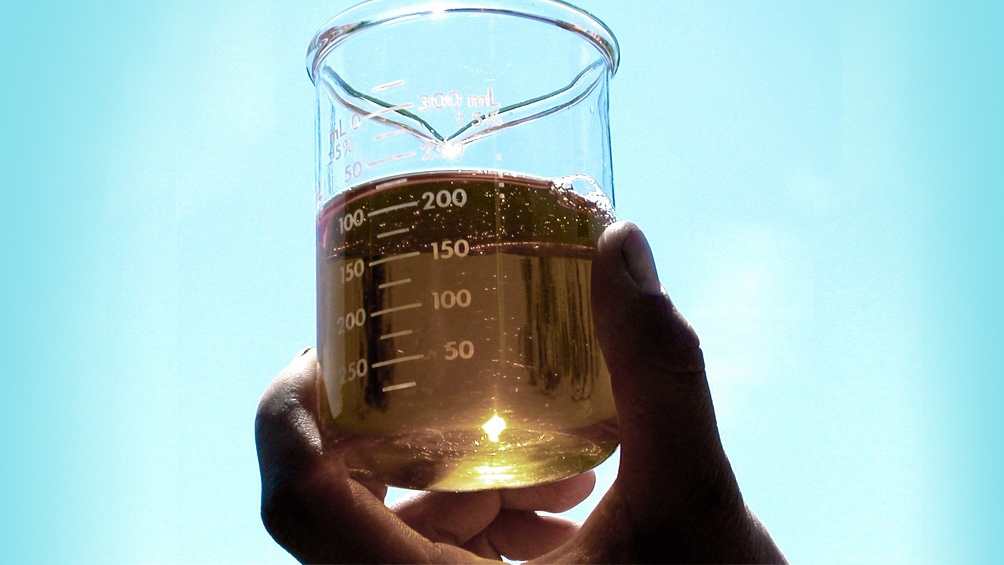 Argentina apelará el fallo de la Corte de Comercio Internacional respecto del biodiésel