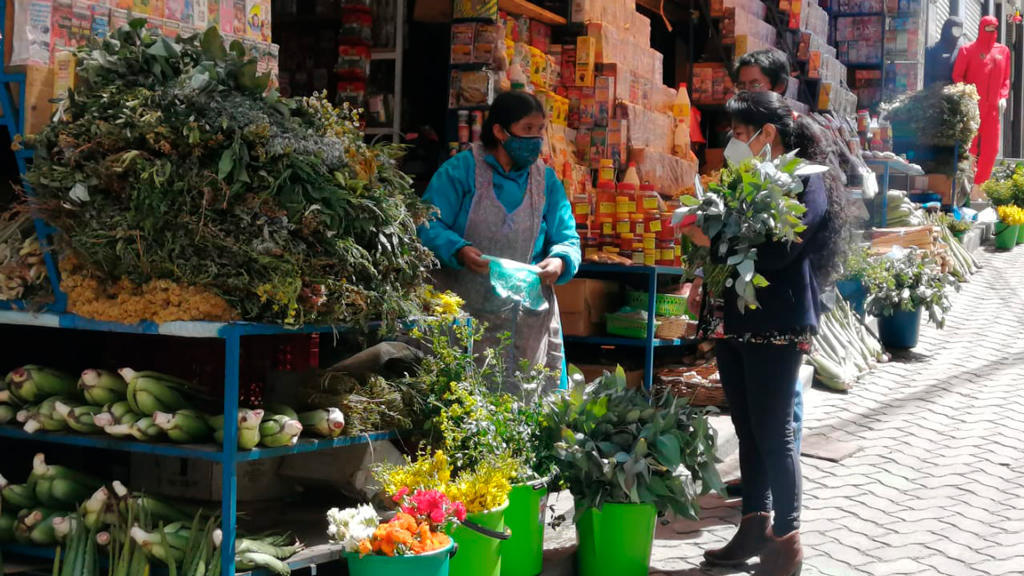 Productores ecológicos ofrecen kit de plantas medicinales anti COVID-19