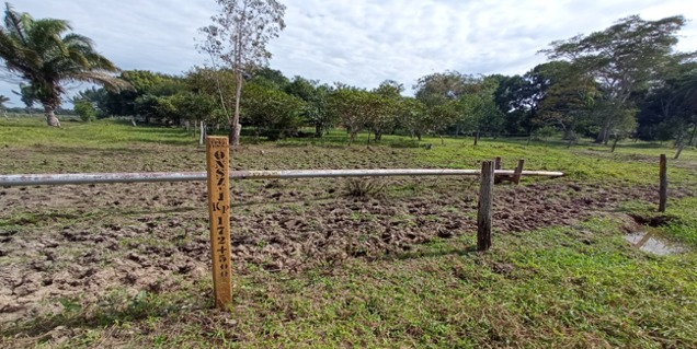 Supervisan el oleoducto Carrasco - Víbora – Caranda para garantizar transporte de hidrocarburos líquidos