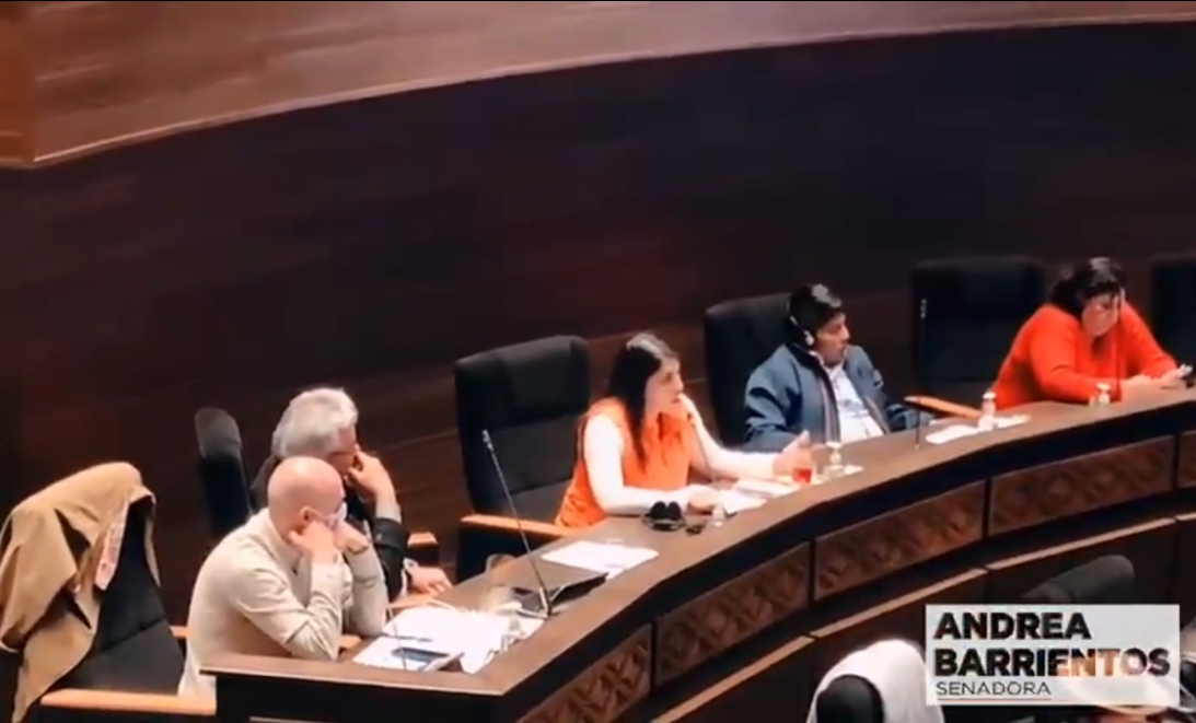Afinidad al MAS expresada por senadora Barrientos es criticada por sus colegas de CC y termina con su renuncia