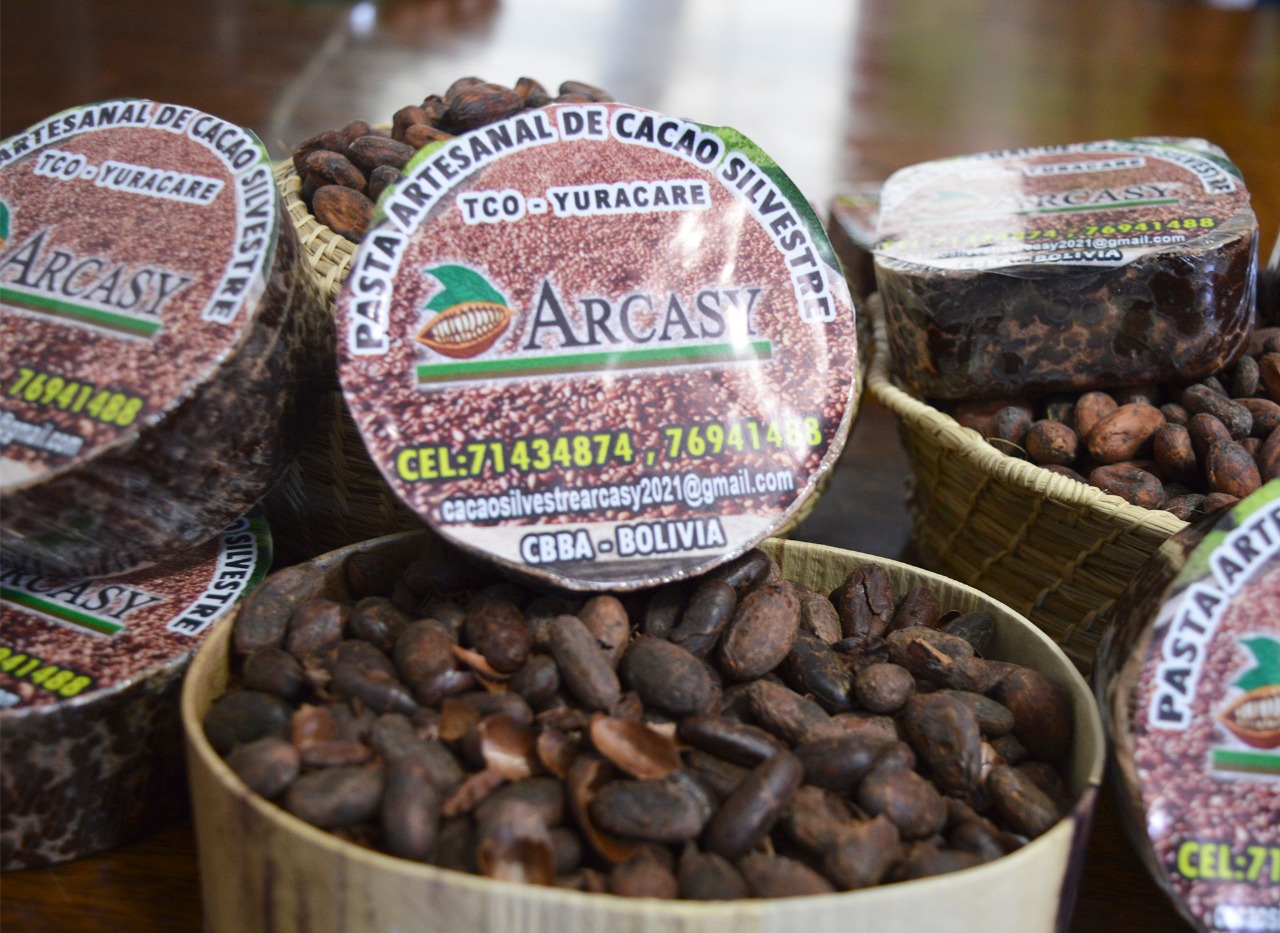 Cacao boliviano es preseleccionado entre las 50 mejores muestras del mundo
