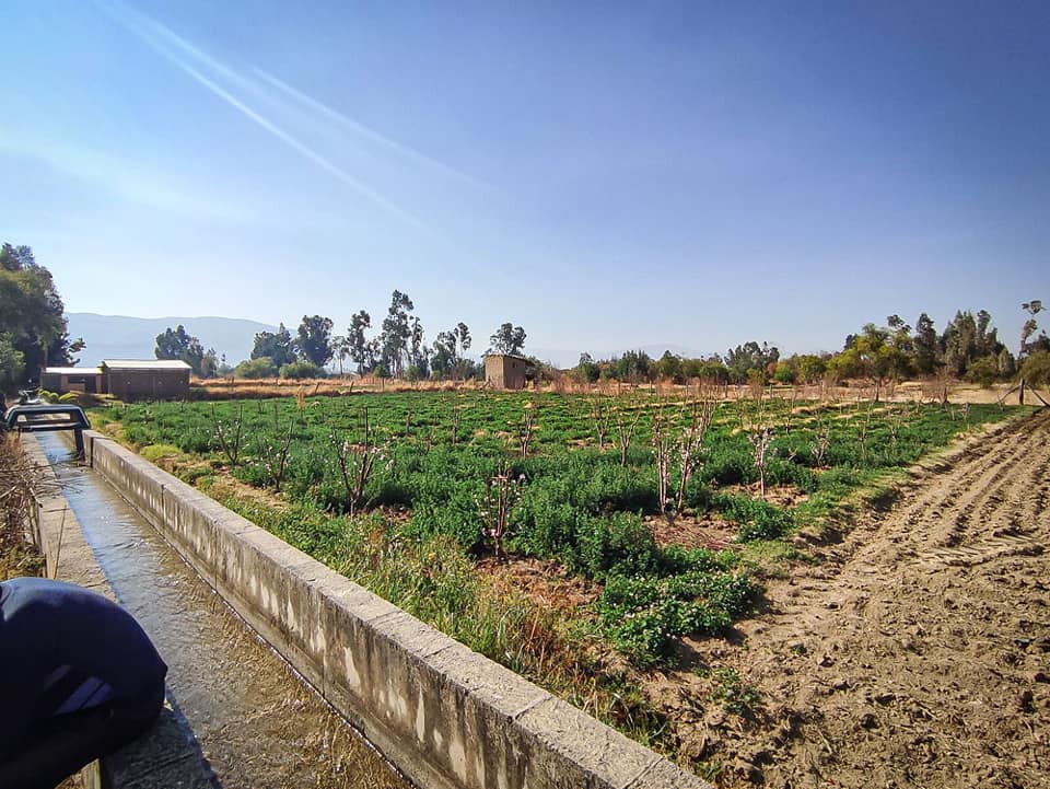 Bolivia comienza realización de estudios para la producción de agroquímicos