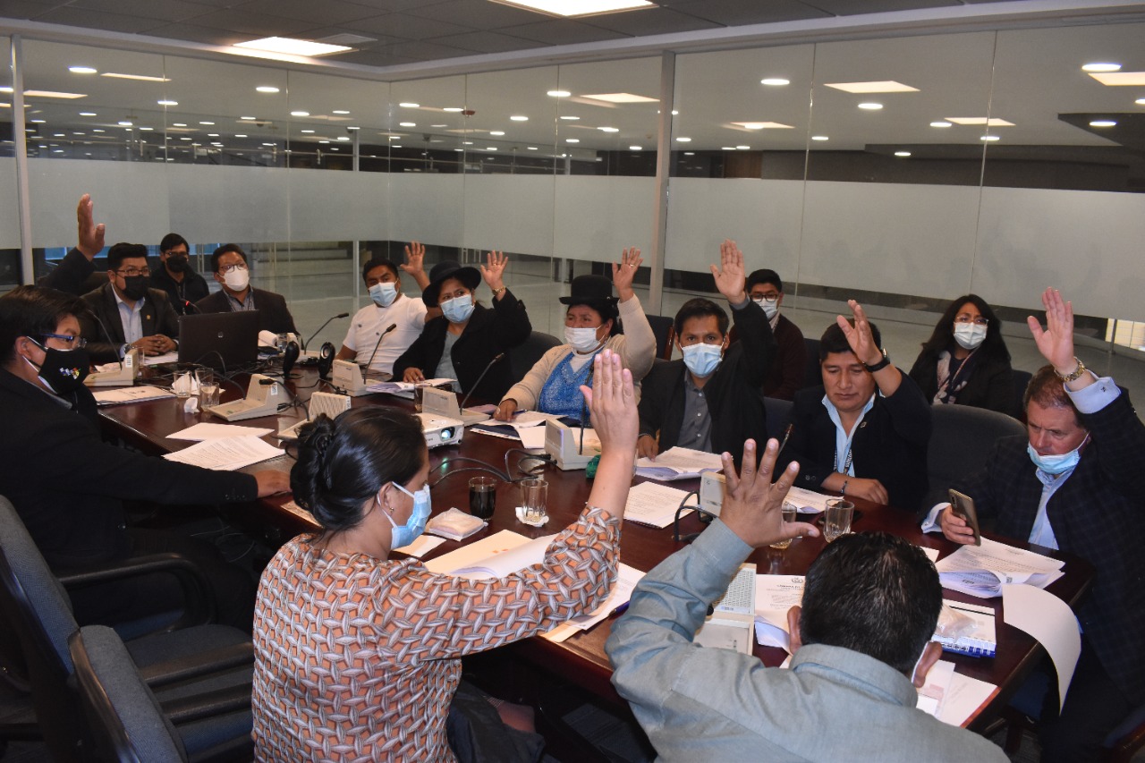 Comisión aprueba proyecto de ley que regula la producción de estadísticas oficiales en Bolivia