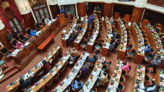 Crédito de la CAF por $us 350 millones y Ley Sanitaria, en la agenda de Diputados