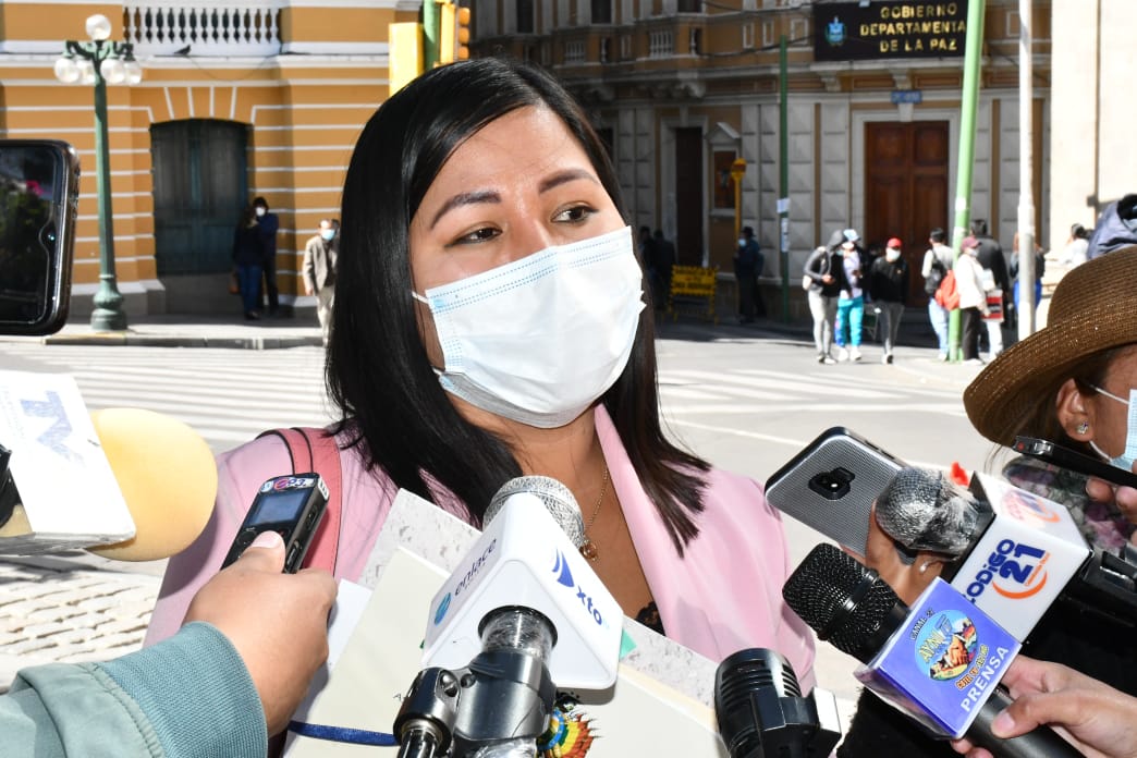 Bancada del MAS analiza conformación de Comisión Mixta para indagar participación de gobiernos extranjeros en el golpe de Estado