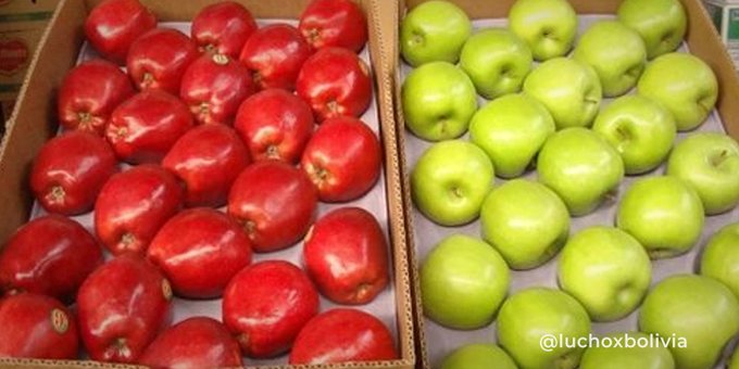 Gobierno modifica los aranceles para la importación de ocho tipos de alimentos