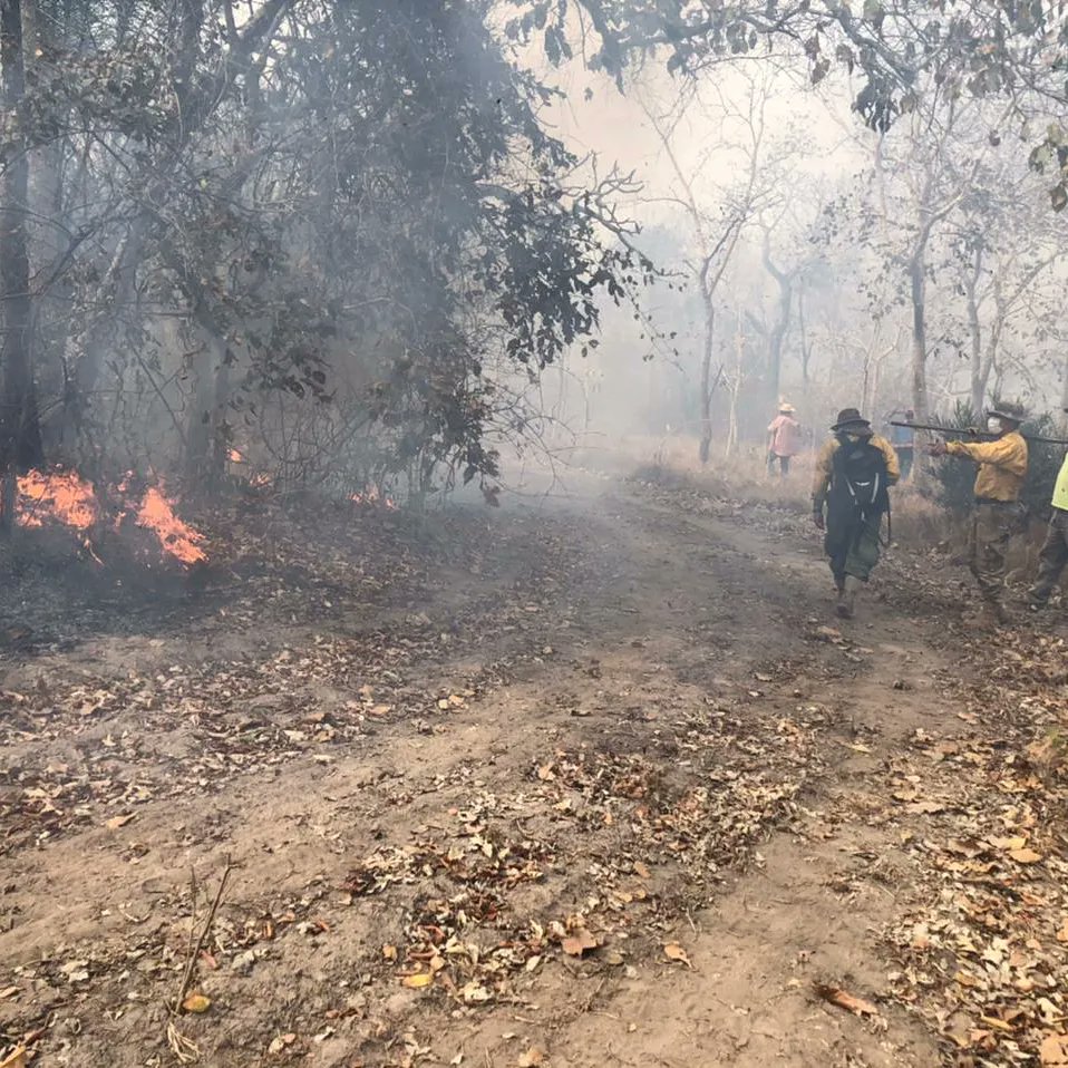 Gobierno sancionará civil y penalmente a los autores de los incendios en la Chiquitania