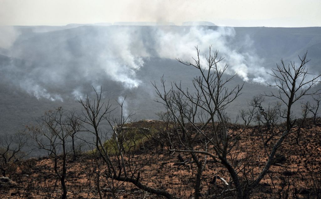 Reportan que los incendios en Guarayos y Roboré fueron apagados y alertan chaqueos