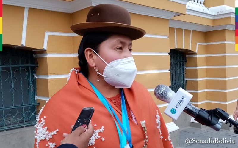 Senadora Velasco dice que oponerse a la Ley de Emergencia Sanitaria es negar la salud a los bolivianos