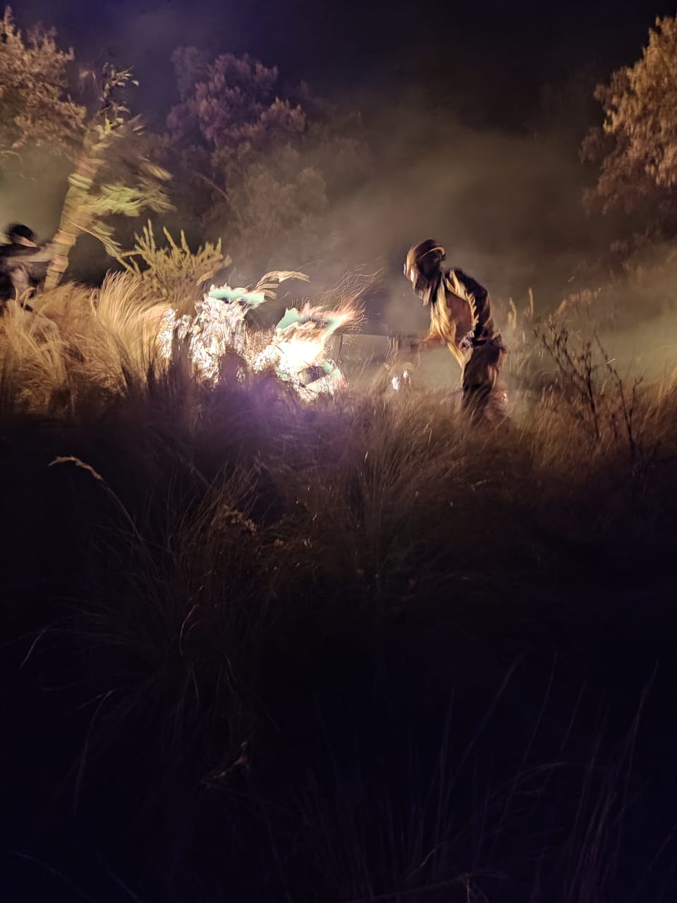 Incendios destruyen casi 230 hectáreas de foresta en cuatro municipios de Cochabamba