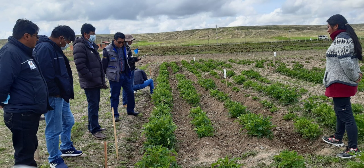 Iniaf y UPEA suscriben convenio para fortalecer investigación agrícola y forestal
