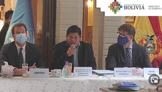 Bolivia prevé racionalizar 49.000 hectáreas de coca excedente y desarticular diez organizaciones de narcotraficantes hasta 2025