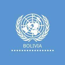 ONU verifica que Jeanine Áñez recibe atención médica y constata medidas de respuesta para preservar sus derechos