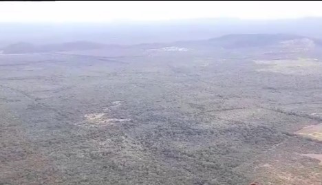 Calvimontes: Incendio en el Parque Nacional Otuquis quedó controlado y extinguido