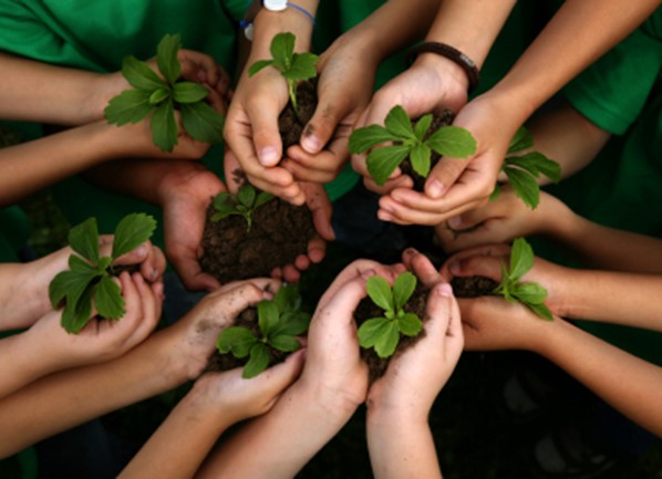 Comisión legislativa continúa con la socialización del proyecto de ley de creación de la Defensoría de la Madre Tierra