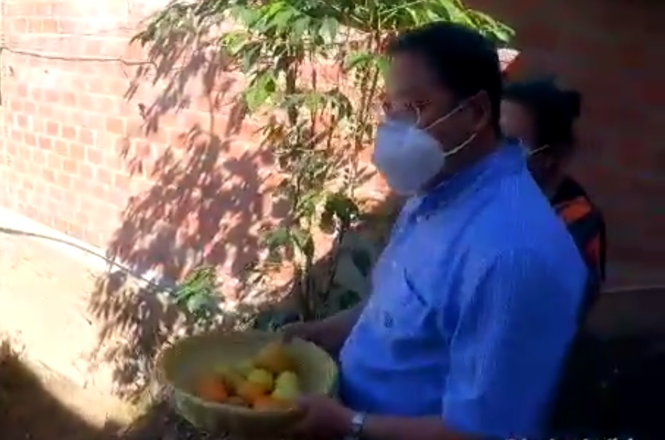 Presidente Arce resalta la producción de cítricos de Chulumani