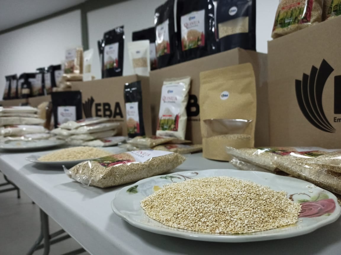 Presidente da inicio a la industrialización de la quinua con la inauguración de procesadora en Oruro (adelanto)