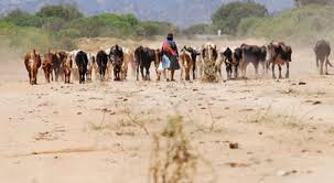 Dos municipios de Cochabamba reportan problemas por la sequía y están bajo monitoreo