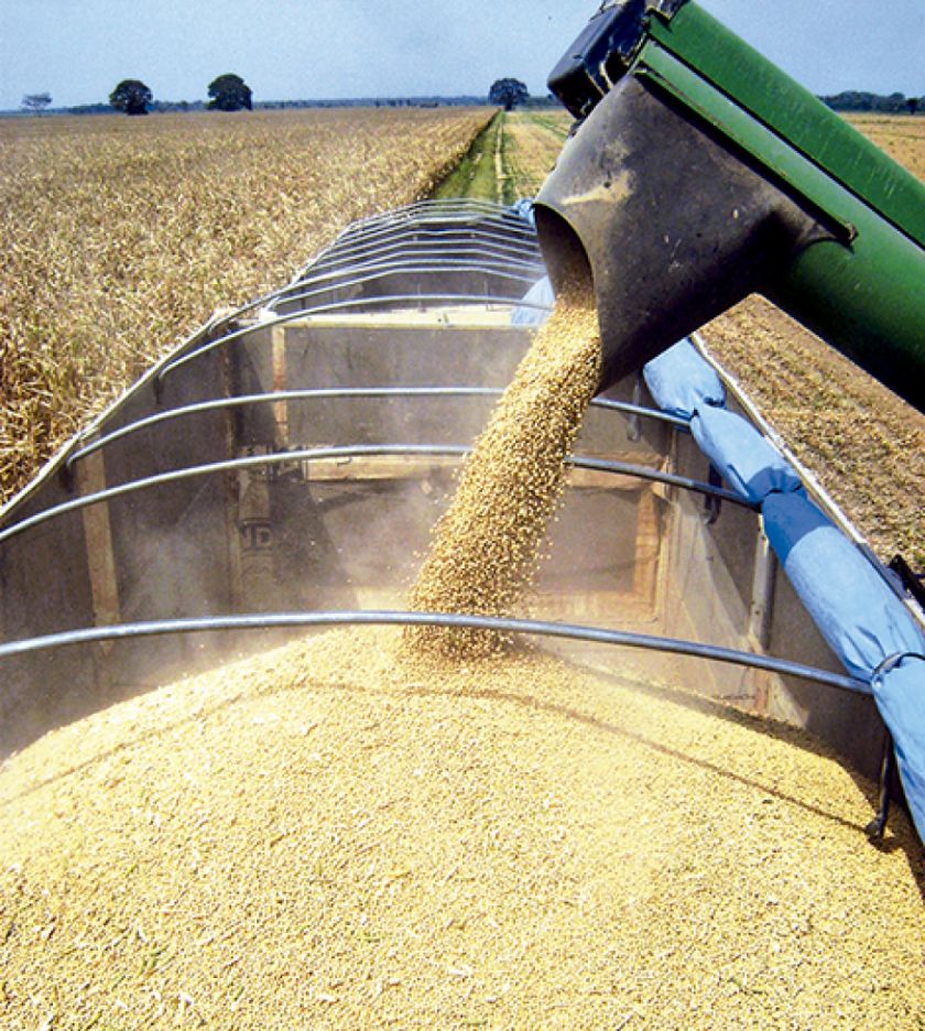 INE: Saldo comercial alcanza un superávit de $us 339 millones a marzo