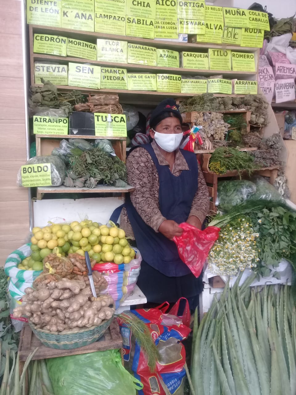 Sucre: Aumenta consumo de plantas medicinales para prevenir el COVID