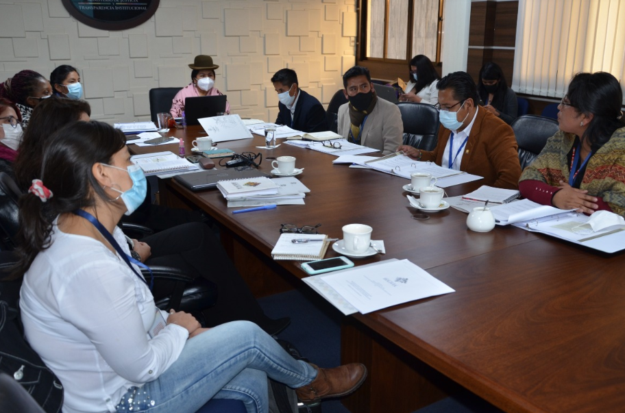 Justicia sistematiza más de 1.000 propuestas para modificar la Ley 348