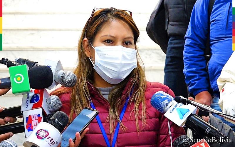 Amparo Carvajal y Carolina Ribera armaron un “show mediático” en torno al pedido de medidas cautelares para Jeanine Áñez