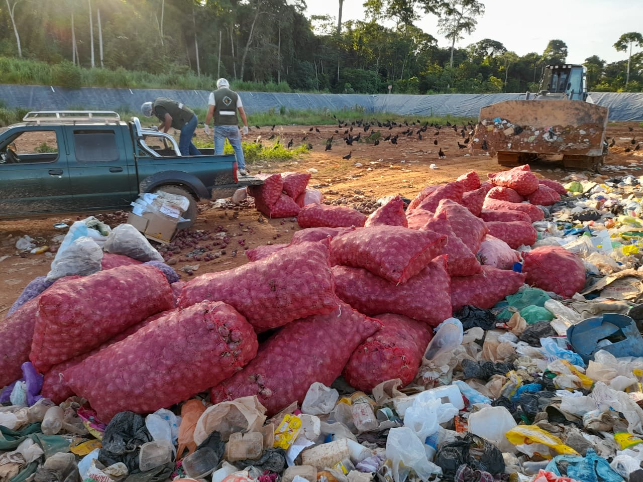 Senasag comisa más de 10 toneladas de hortalizas sin permiso fitosanitario en Pando