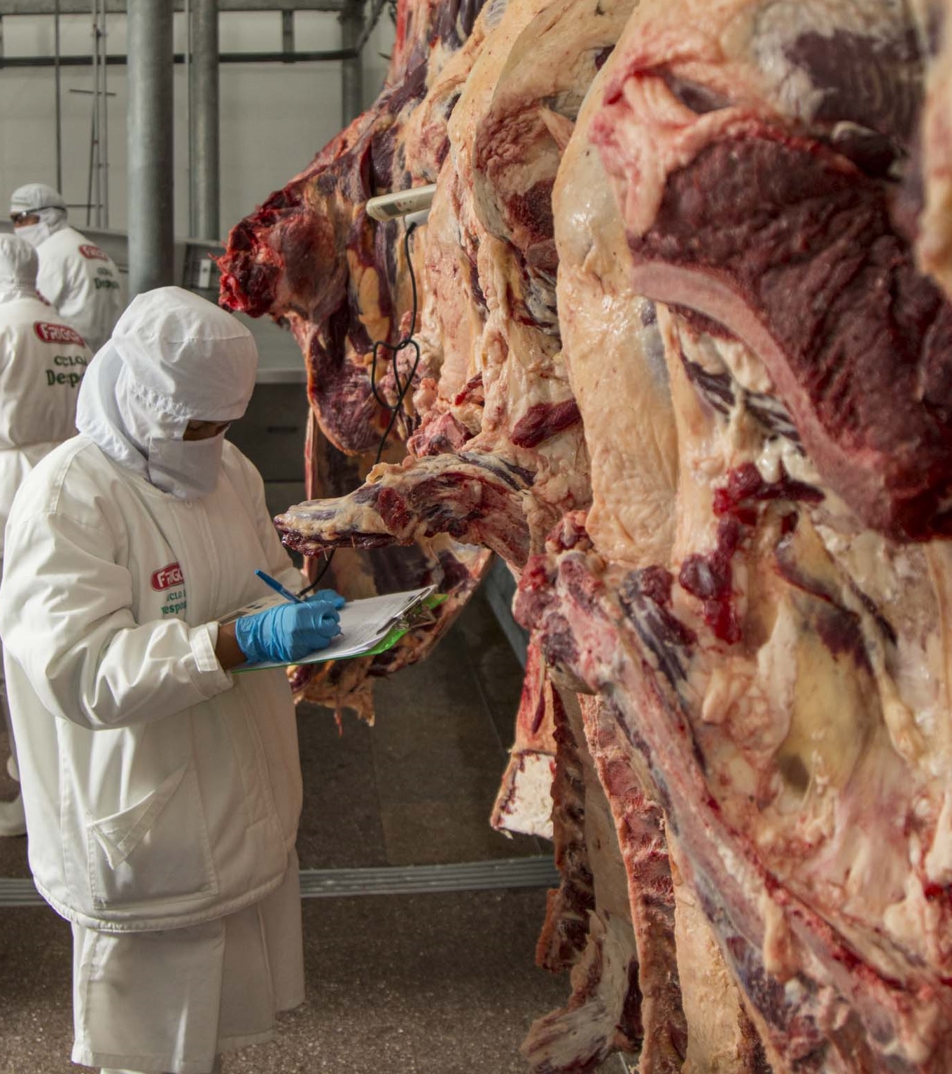 IBCE: Bolivia exportó 10.810 toneladas de carne bovina por $us 53,1 millones a junio de 2021