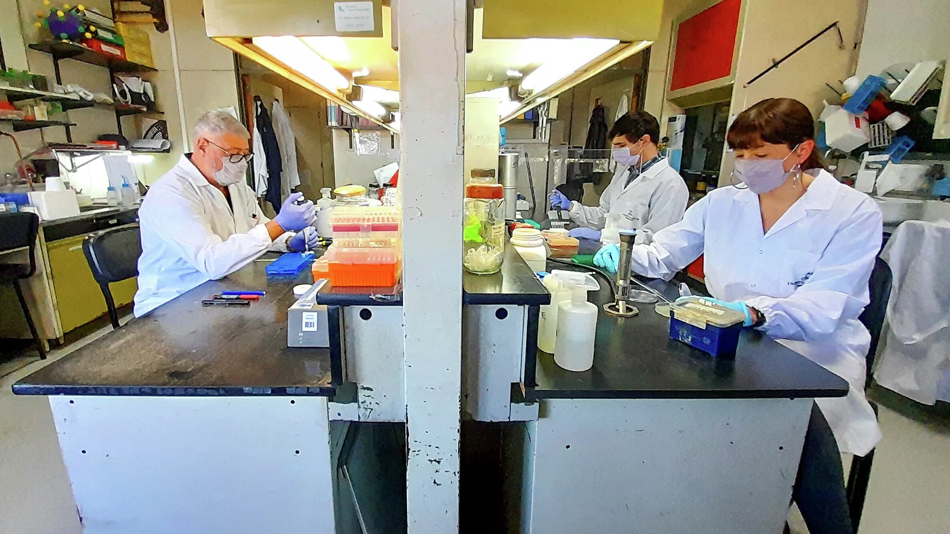 Vacuna en desarrollo en Argentina puede combatir variantes de COVID-19 con una dosis