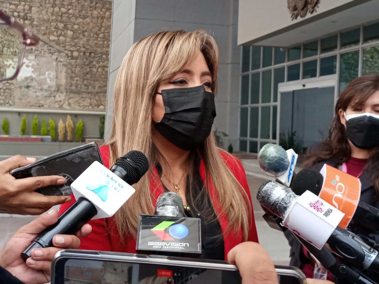 Viceministra Alcón afirma que no se protegerá a ninguna autoridad o político que cometa delito