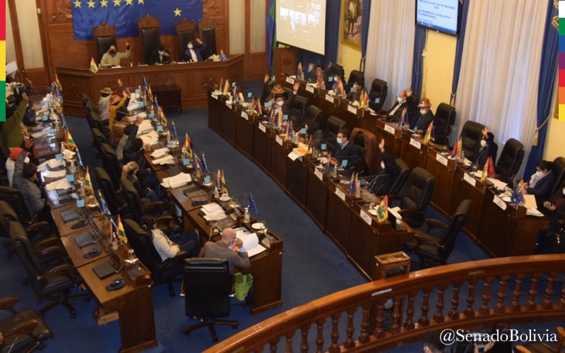 Senado continúa el debate del proyecto de Ley de Emergencia Sanitaria