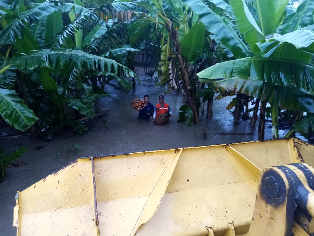 Reportan que riadas afectaron producción agropecuaria de más de 50 comunidades del trópico