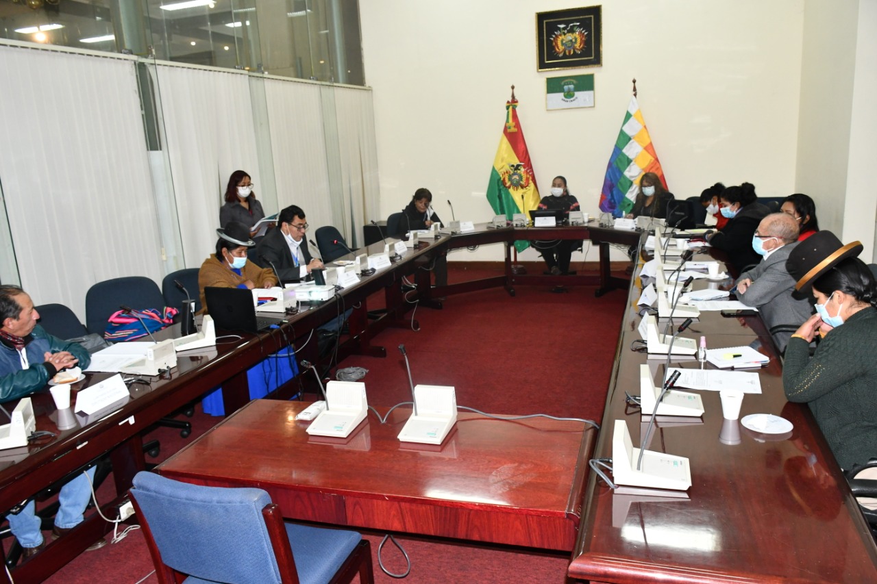 Comisión de Diputados recomienda a YPFB hacer seguimiento a casos de corrupción