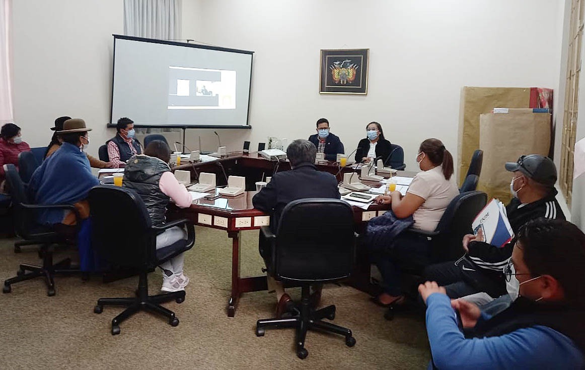 Alcaldesa de El Alto no asiste a informe oral de comisión de diputados