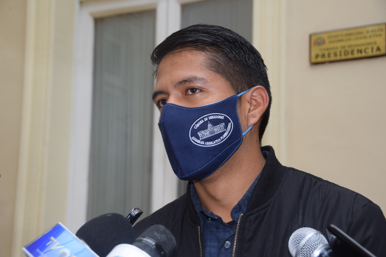 Comisión Mixta de la ALP investigará la paralización de plantas y obras camineras durante el régimen de Áñez