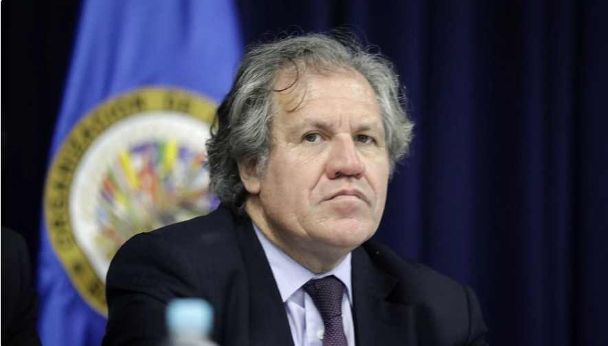 Investigador: Almagro se queda sin argumentos por contundencia de informes que descartan fraude en 2019