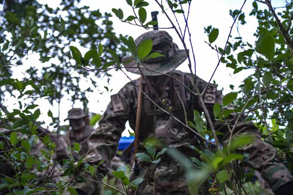 Gobierno asevera que informe antidroga de EEUU es unilateral y carece de legitimidad