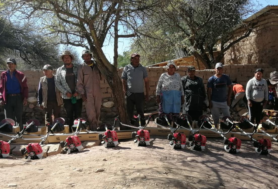 Gobierno apoya producción y comercialización de cebolla en Tupiza con una inversión mayor a Bs 335.000