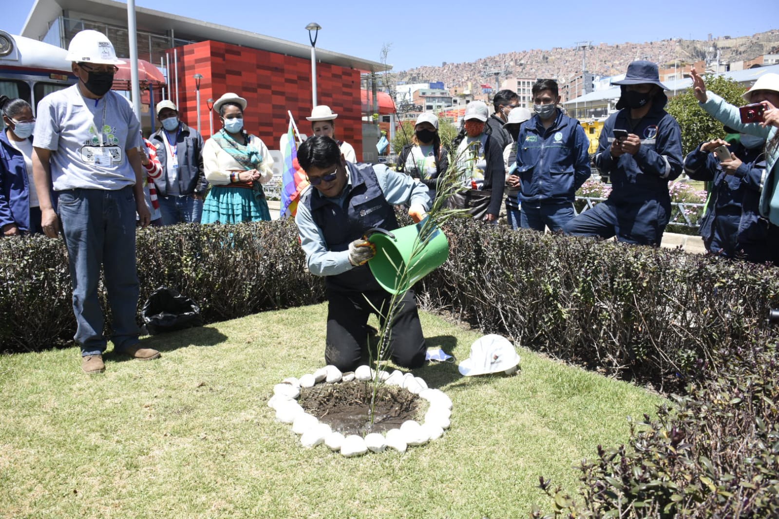 Bolivia arranca campaña de forestación con la plantación de 180.000 plantines en el “Día del Árbol”
