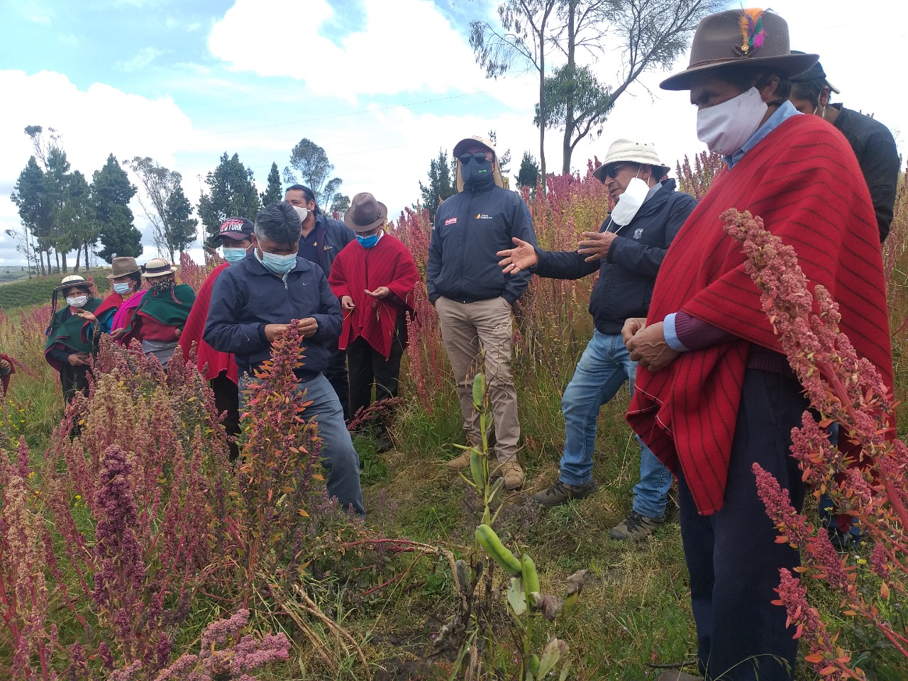 Bolivia participa en evento internacional científico en producción de quinua