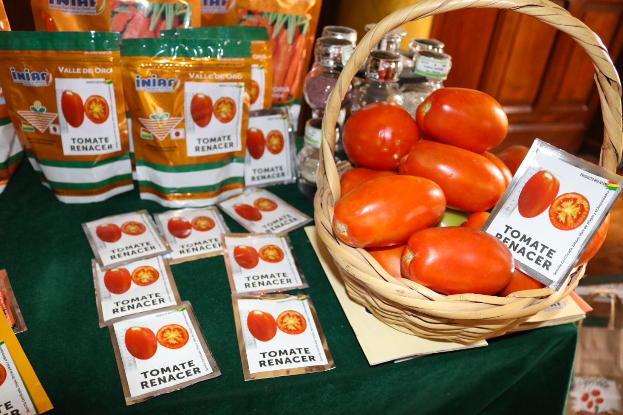 Gobierno lanza nuevas variedades para fortalecer la producción de trigo, zanahoria y tomate