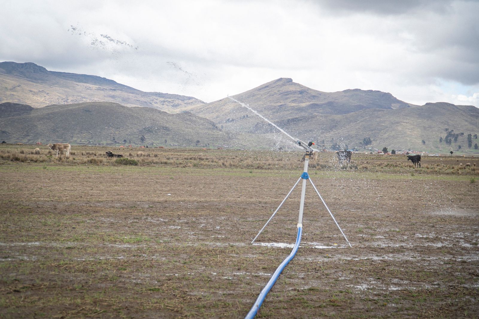 Ministerio de Desarrollo Rural implementa sistemas de agua en el municipio de Achacachi