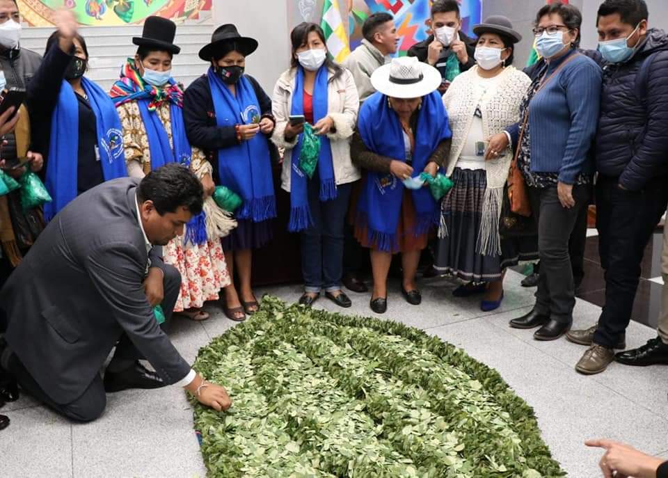 Médico: El acullico o masticado de la hoja de coca contribuye a disminuir el sobrepeso y es factor anti obesidad