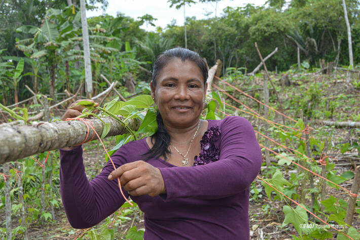 Informe de la FAO destaca a los pueblos indígenas como los mejores guardianes de los bosques