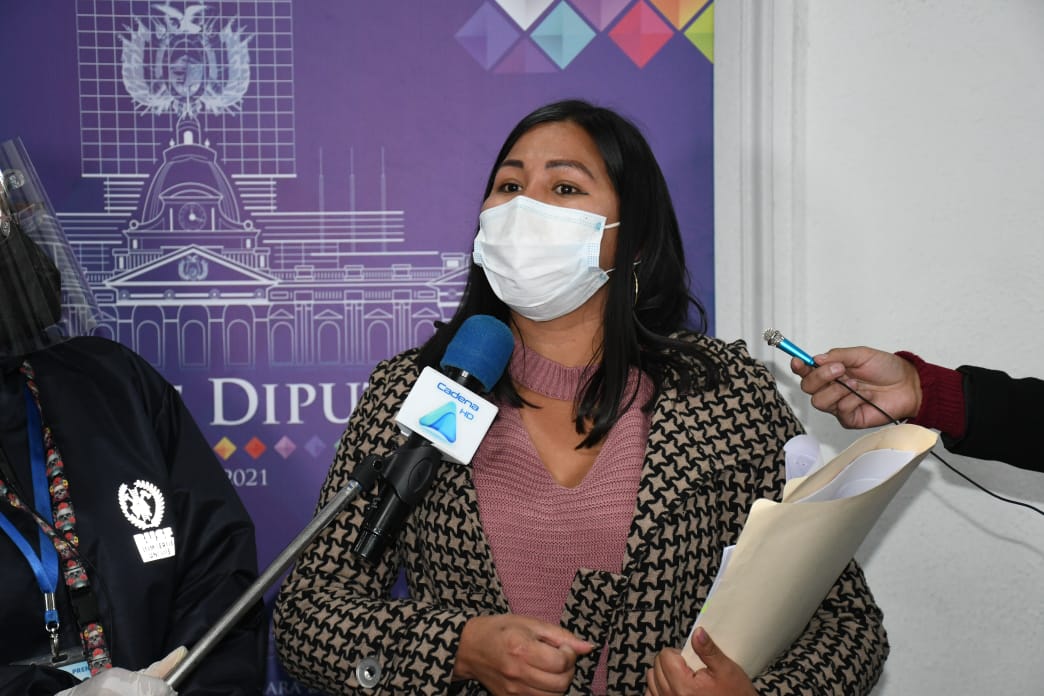 Comisión Especial Mixta de la ALP informa que por año se registran 45.000 denuncias de violencia