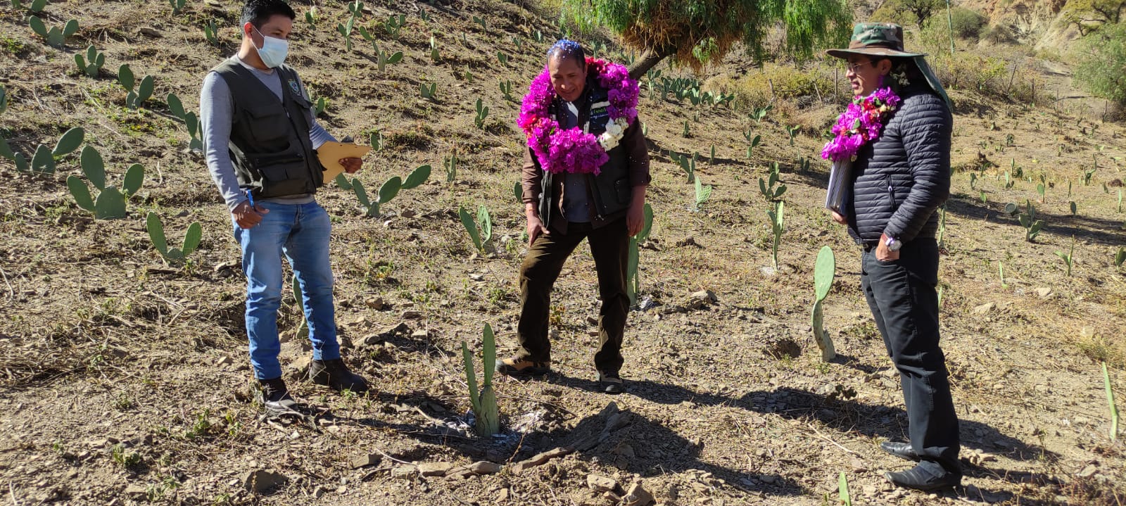 Desarrollo Rural incentiva la producción de tuna en el municipio de Aiquile