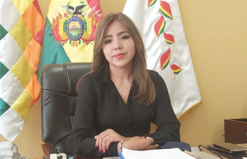 Viceministra Alcón asegura que el proceso de vacunación masiva irá acompañado de campañas informativas