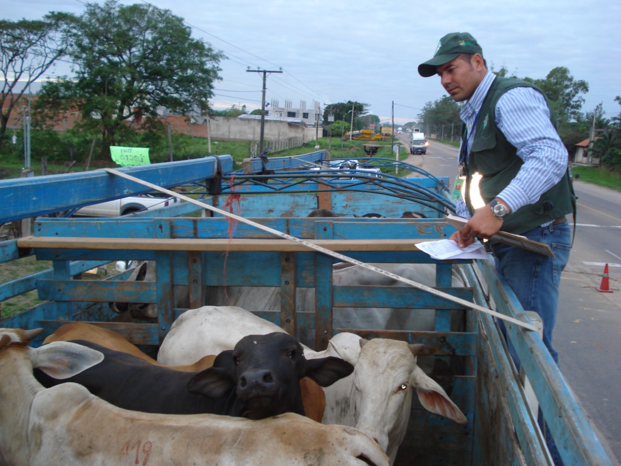 Senasag ejecuta control al movimiento de ganado bovino en zonas fronterizas y garantiza abastecimiento de carne de res