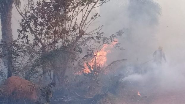 Incendios forestales afectan a 734.568 hectáreas en Bolivia, la mayoría está en Santa Cruz